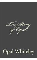 The Story of Opal