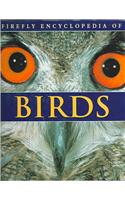 Firefly Encyclopedia of Birds