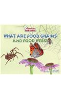 What Are Food Chains and Food Webs?