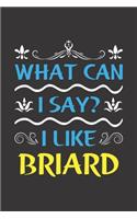 What Can I Say? I Like Briard: Funny Lined Journal Notebook For Briard Dog Lovers