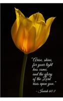 Isaiah 60