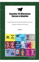Lhasalier 20 Milestones