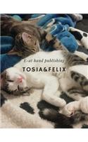 Tosia&Felix: School notebook -Writing Notebook- Plain Journal(2 Cats)