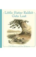 Little Sister Rabbit Gets Lost