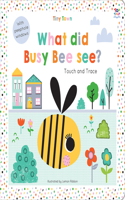 What Did Busy Bee See?: (Tiny Town Touch And Trace)