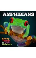 Amphibians