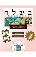 Bar/Bat Mitzvah Survival Guides