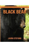 Black Bear