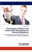 Impact of Micro and Small Scale Enterprises on Poverty Reduction