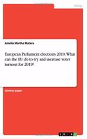 European Parliament elections 2019. What can the EU do to try and increase voter turnout for 2019?