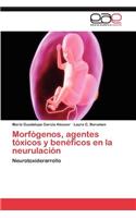 Morfogenos, Agentes Toxicos y Beneficos En La Neurulacion