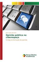 Opinião pública no ciberespaço