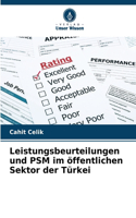 Leistungsbeurteilungen und PSM im öffentlichen Sektor der Türkei
