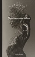Los olivos milenarios de Mallorca