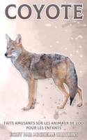 Coyote: Faits amusants sur les animaux de zoo pour les enfants #30