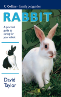 Collins Family Pet Guide â€“ Rabbit