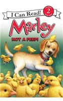 Marley: Not a Peep!: An Easter and Springtime Book for Kids
