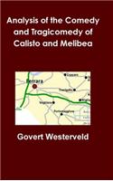 Analysis of the Comedy and Tragicomedy of Calisto and Melibea