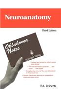 Neuroanatomy