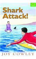Shark Attack!