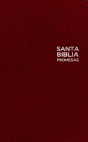 Santa Biblia Promesas-Ntv-Regalo