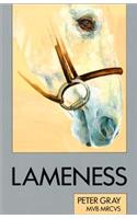 Lameness (Allen veterinary handbook)