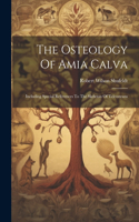 Osteology Of Amia Calva