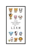 Liam's Sketchbook: Personalized Animals Sketchbook with Name: 120 Pages