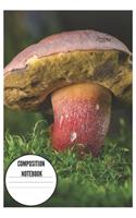 Composition Notebook: Beautiful Red Boletus Mushroom Notebook/Journal for Forest Lovers to Write in (6x9 Inch.) 120 Blank Pages for Children (Green&red&yellow Pattern)