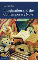 Imagination and the Contemporary Novel