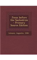 Jesus Before the Sanhedrim - Primary Source Edition: (English)