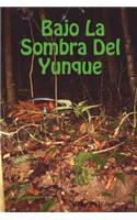 Bajo La Sombra Del Yunque