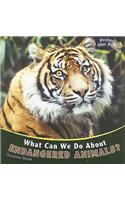 What Can We Do about Endangered Animals?