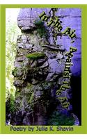 In The Air, Against The Air: Poetry by Julie K. Shavin(English)