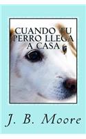 Cuando tu Perro Llega a Casa: Guía Práctica para Dueños Principiantes