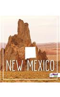 New Mexico