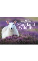 Villager Jim's Moorland Wildlife