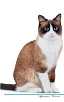 Snowshoe Cat Affirmations Workbook Snowshoe Cat Presents: Positive and Loving Affirmations Workbook. Includes: Mentoring Questions, Guidance, Supporting You.