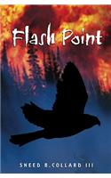 Flash Point