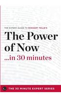 The Power of Now in 30 Minutes - The Expert Guide to Eckhart Tolle's Critically Acclaimed Book