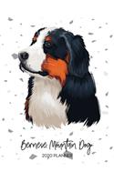 Bernese Mountain Dog 2020 Planner