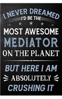 I Never Dreamed I'd Be The Most Awesome Mediator On The Planet But Here I Am Absolutely Crushing It