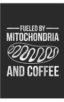 Fueled By Mitochondria