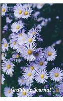 Gratitude Journal: Daisies A notebook to record all of the things you are grateful for, 6 x 9 100 pages