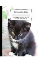 Cat Composition Notebook, 4x4 Graph Paper: 4x4 Quad Rule Composition Book, Student Exercise Science Math Grid, 200 Pages, 7.44 X 9.69
