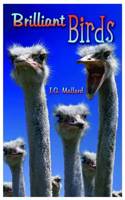 Brilliant Birds