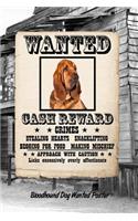 Bloodhound Dog Wanted Poster: Weekly Planner Notebook 365 Daily - 52 Week Journal 120 Pages 6x9