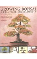 Growing Bonsai A Practical Encyclopedia