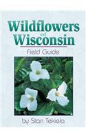 Wildflowers of Wisconsin