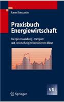 Praxisbuch Energiewirtschaft: Energieumwandlung, -Transport Und -Beschaffung Im Liberalisierten Markt